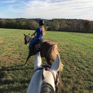 Meet your Posher, Carterann